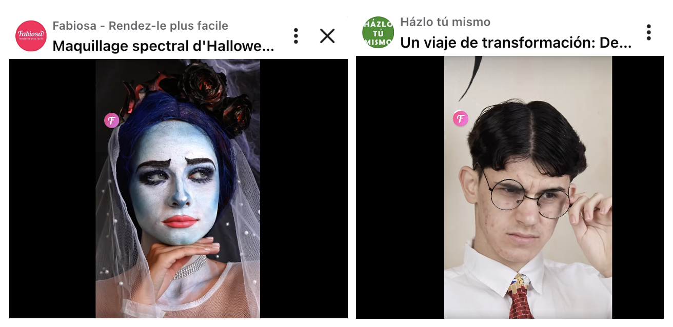fabiosa media1